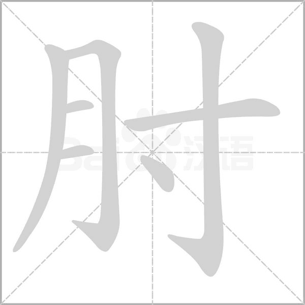 肘的笔画顺序