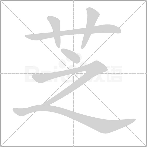 芝的笔画顺序