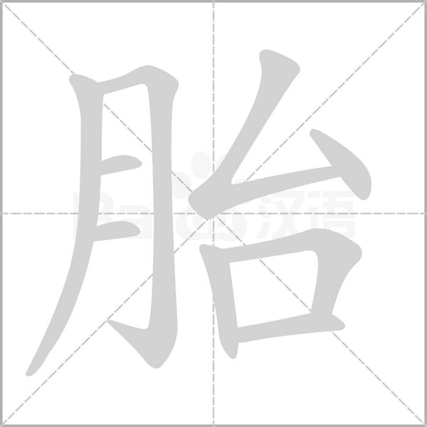 胎的笔画顺序