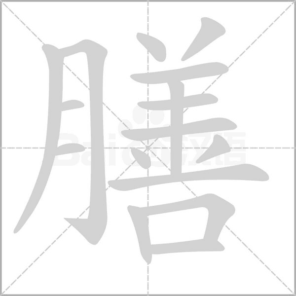 膳的笔画顺序