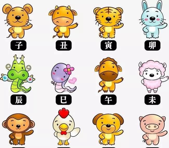 The historical value of the Chinese zodiac culture(sheng xiao wen hua)