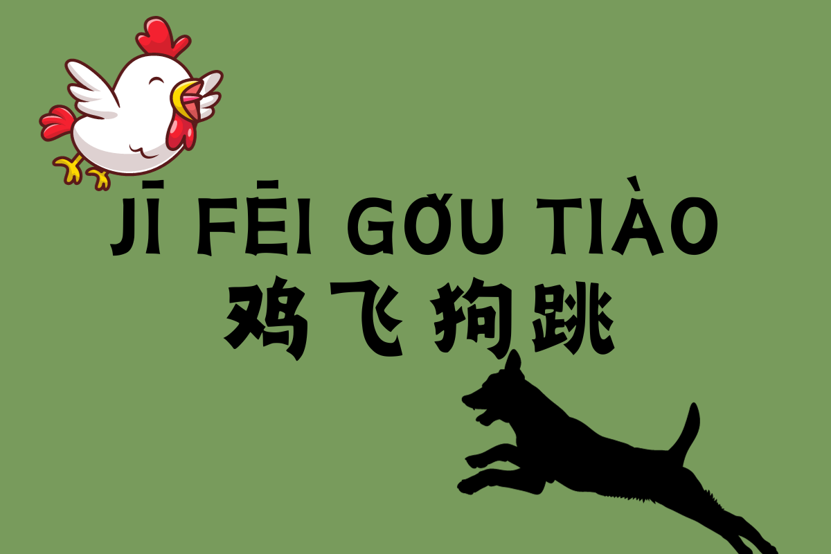 When Chickens Fly and Dogs Jump