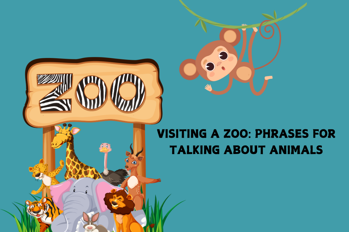 Visiting a Zoo: Phrases for Talking About Animals
