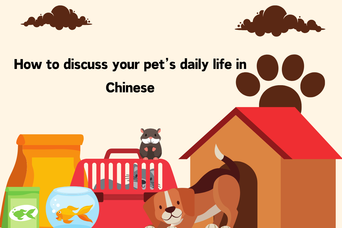 How to Discuss Your Pet’s Daily Life in Chinese