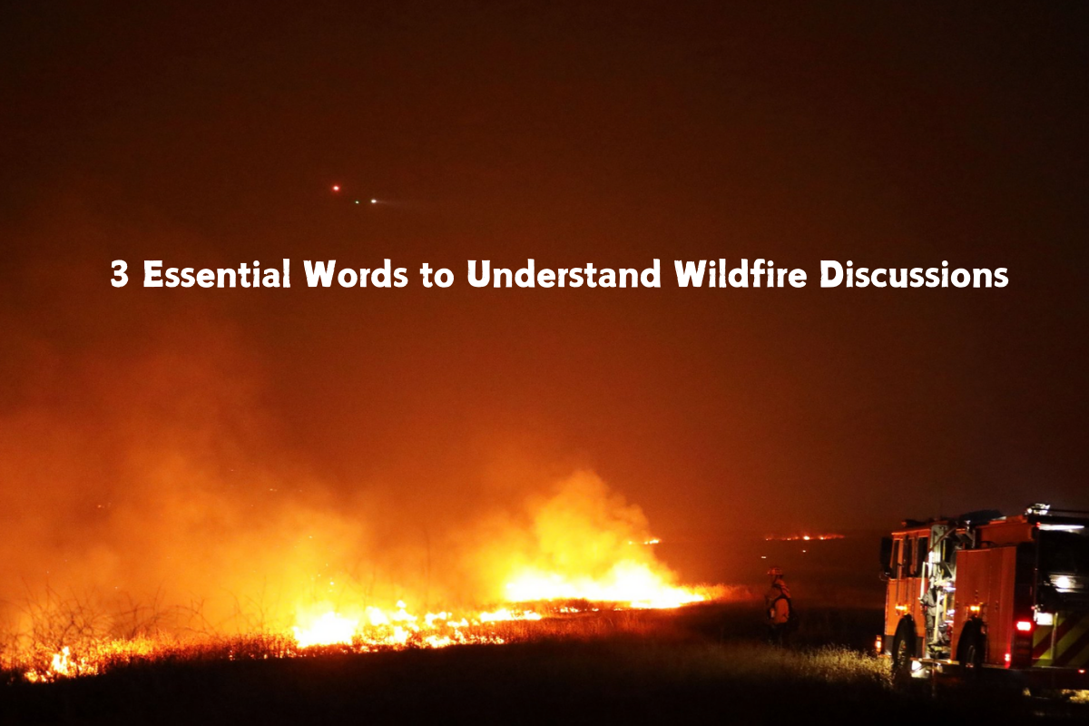 3 Essential Words to Understand Wildfire Discussions