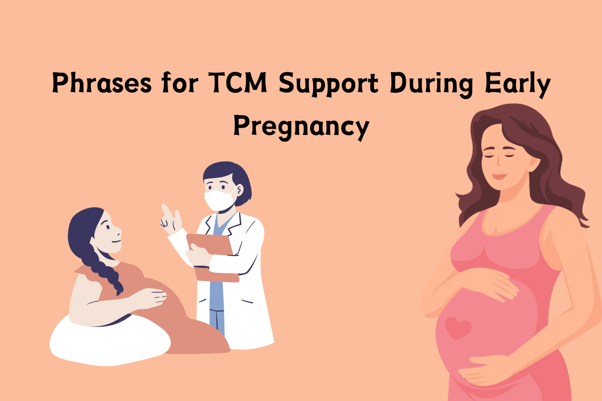 Phrases for TCM Support During Early Pregnancy