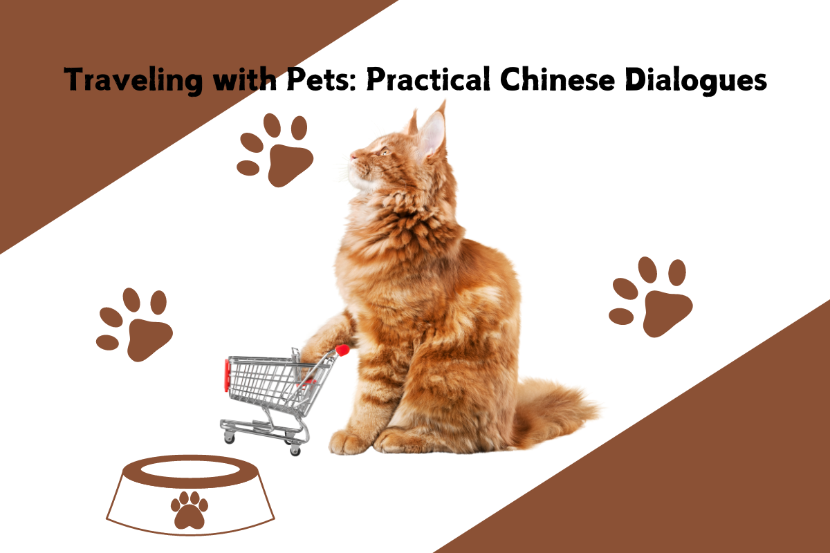 Traveling with Pets: Practical Chinese Dialogues