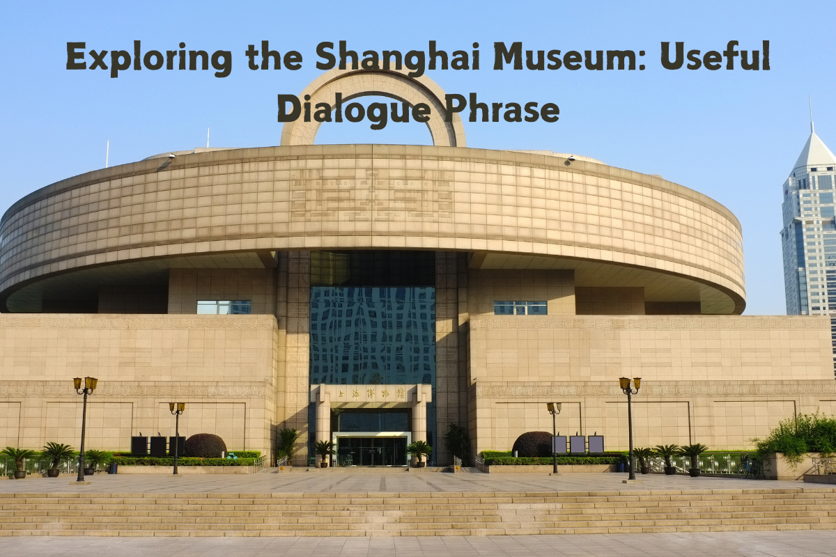 Exploring the Shanghai Museum: Useful Dialogue Phrase