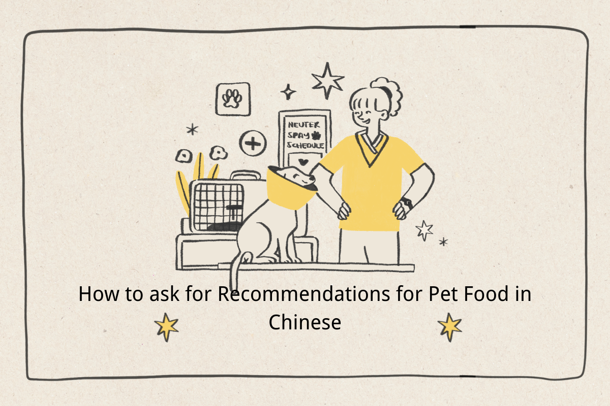 How to Ask for Recommendations for Pet Food in Chinese
