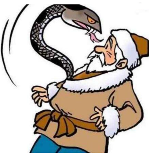 The Chinese Zodiac Culture 6- Snake symbol